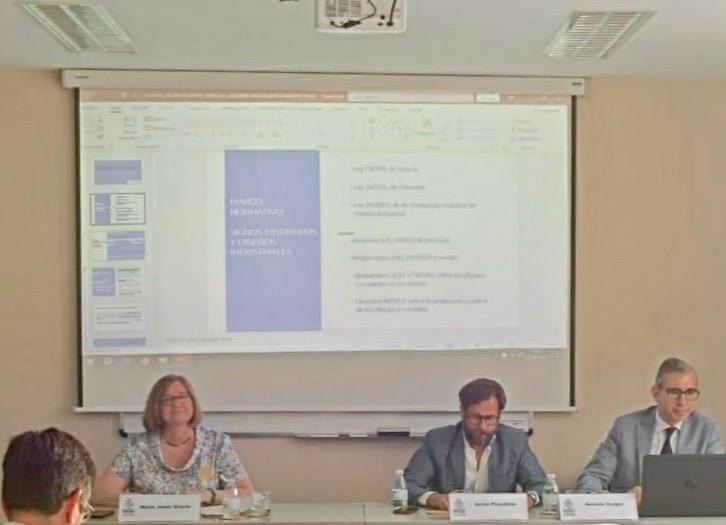 Curso Propiedad Industrial e Intelectual ReICAZ